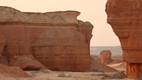 Allein mit der Tierwelt