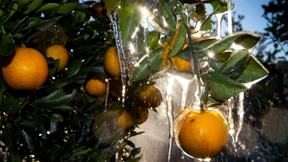 Wege durch den Dschungel