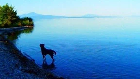 Kommt der amtierende Gott des Kinos selbst nach Cannes?