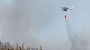 Kampf gegen die Glutnester