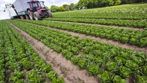 Update zum ethischen Investment