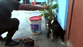 Zu weit von der Küste entfernt