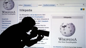 381 Sockenpuppen entlarvt