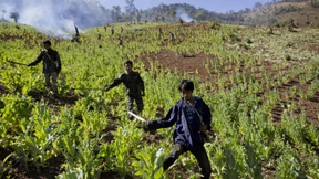 Freihandel für die Drogenmafia