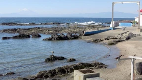 Kiloweise Kokain am Strand angespült