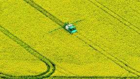 Großalarm nach Pestizid-Einsatz