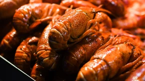 Hummer – Luxus mit Gewissensbissen