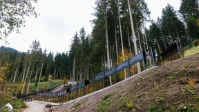 „Problembärin“ Gaia ist im Schwarzwald angekommen