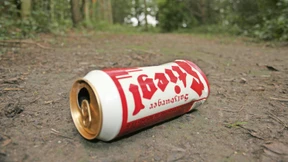 Österreich führt das Dosenpfand ein