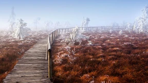 Zeitreise in die Heimatkunde