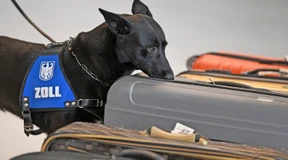 Einfallstor für den globalen Drogenhandel