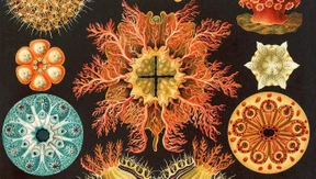 Von der Kunst, Forschung zu illustrieren