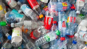 Mann klaut tausende Pfandflaschen und hortet sie in seiner Wohnung