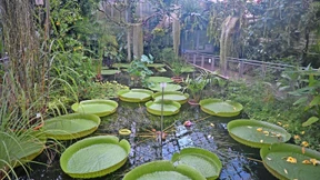 In diesem Garten küsste Goethe die Muse