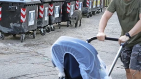 Neuanfang in der Ewigen Stadt