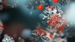 Wer oder was ist das Sars-CoV-2?