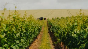 Englische Champagnerträume