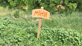 Verminte Erde