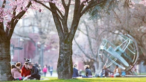 Investition in saubere Parks und abfallfreie Plätze