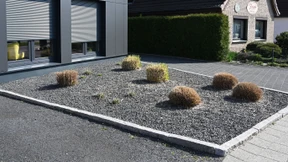 Vertreibung aus dem Kiesparadies