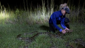 Unterwegs als Schlangenjägerin