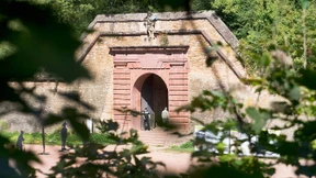 Grünes Paradies im Dornröschenschlaf