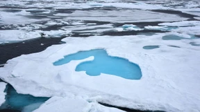 Fast jeder Fünfte bestreitet den Klimawandel