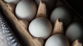Aldi, Lidl und Rewe nehmen holländische Eier aus Sortiment