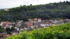 Der unwiderstehliche Lockruf der Steuerfreiheit