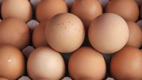 Dioxin-Skandal weitet sich aus