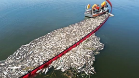 Warnung vor dem Wasser