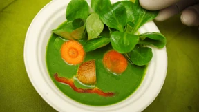 Vegan und fit – Zwei Wochen (fast) ohne Tier