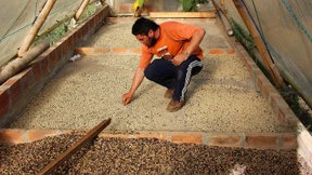 Gedämpfte Wachstumsprognose für Lateinamerika