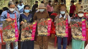 Vogelgrippe breitet sich unter Säugetieren aus