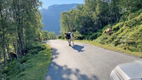 Unter Strom in Norwegen