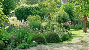 Diesen Hausgarten lieben nicht nur seine Besitzer