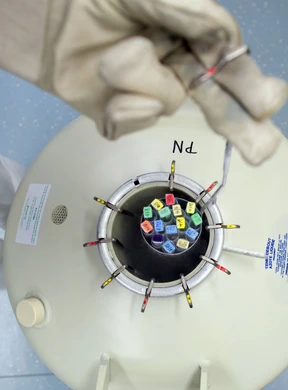 Das gekühlte Glück