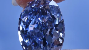 Blaue Schönheit unterm Hammer