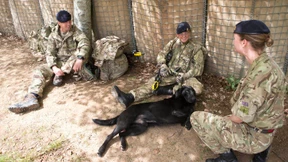 Soldatinnen sollen scharf schießen dürfen