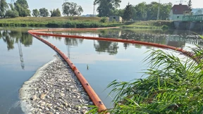 Algenblüte oder Zementverklappung?