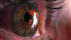 Die späte Reue der Steuersünder