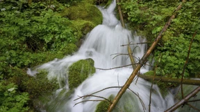 „In der Landschaft sind bis zu 90 Prozent der Quellen zerstört“