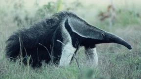 Auf den zweiten Klick