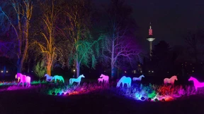 In Licht und bunte Farben getaucht