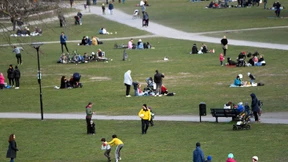 Noch Sonderweg oder schon Holzweg?