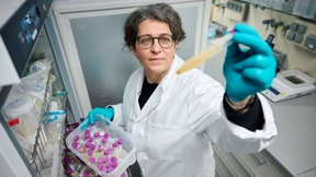 Kinder mit verbotenen Weichmachern belastet