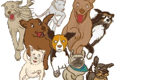 Egal, wie er ins  Ziel kommt