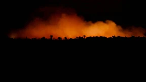 So entstehen Waldbrände