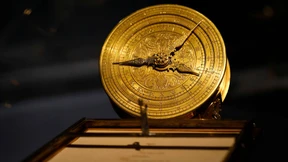 Die Rettung des Dresdner Grünen