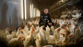 „Dumpingpreise bei Eiern nicht gesund“